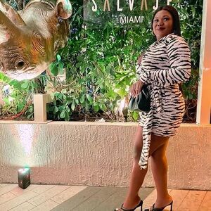 Fashion Nova Zebra Print Mini Dress